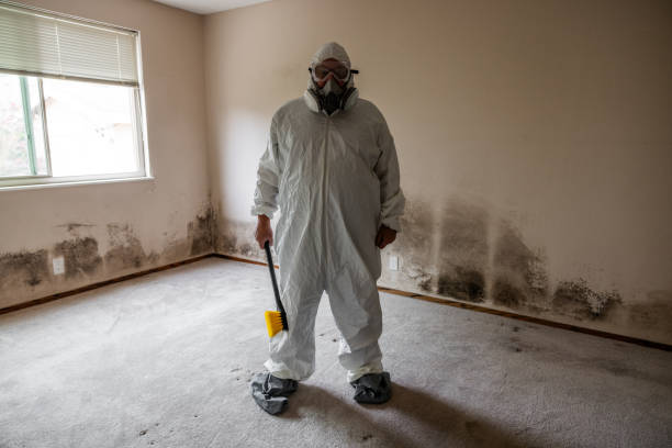 Best Industrial Mold Remediation  in Abingdon, MD